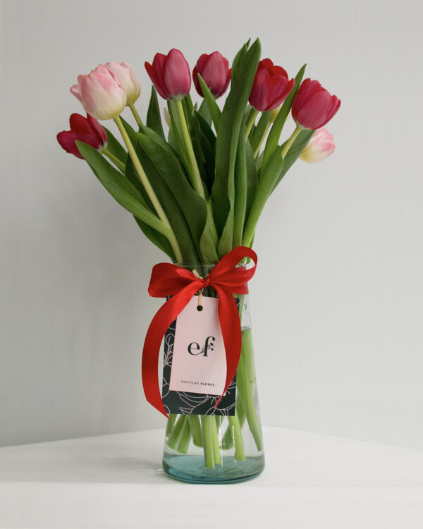 10 Tulipanes en florero