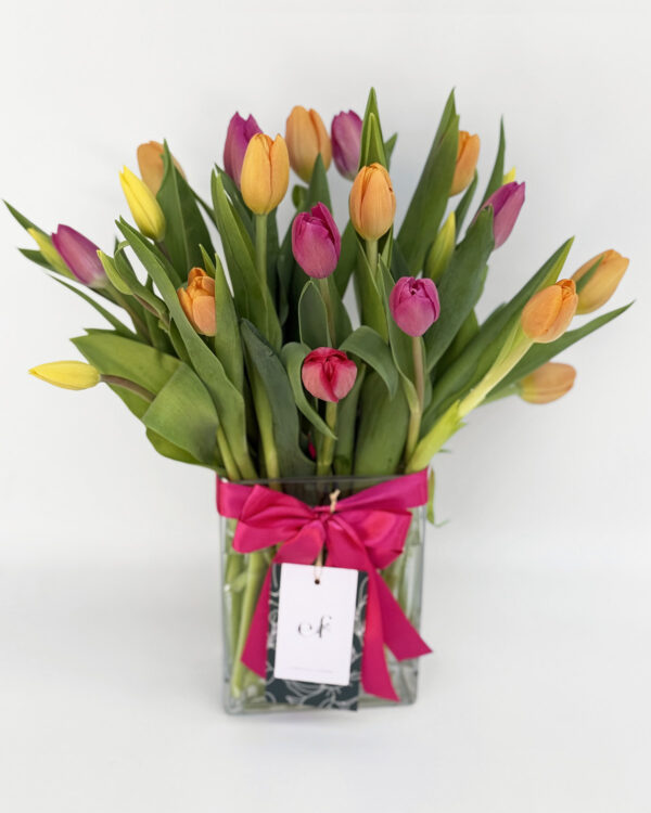 25 Tulipanes en Florero