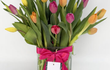 25 Tulipanes en Florero