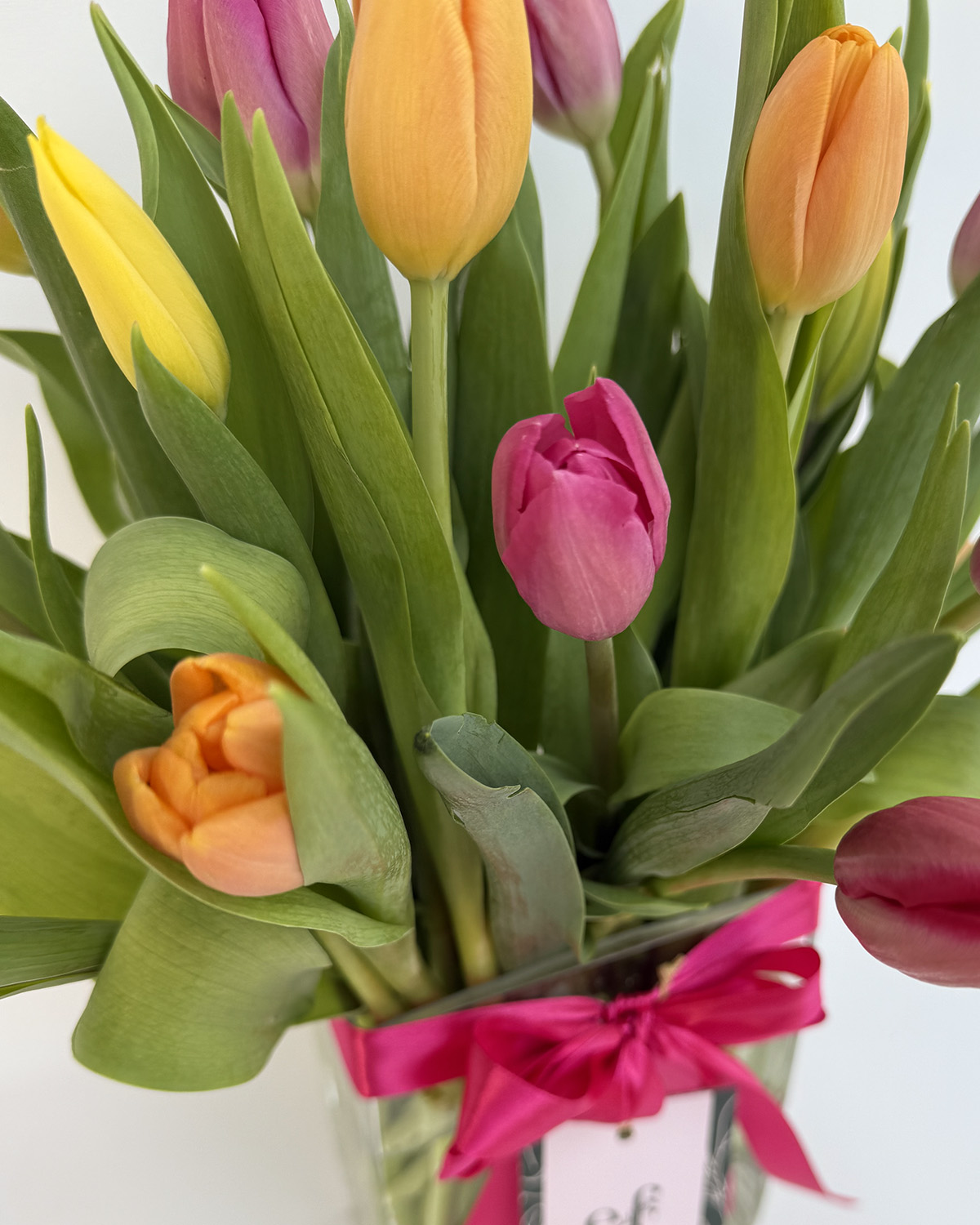 25 Tulipanes en Florero