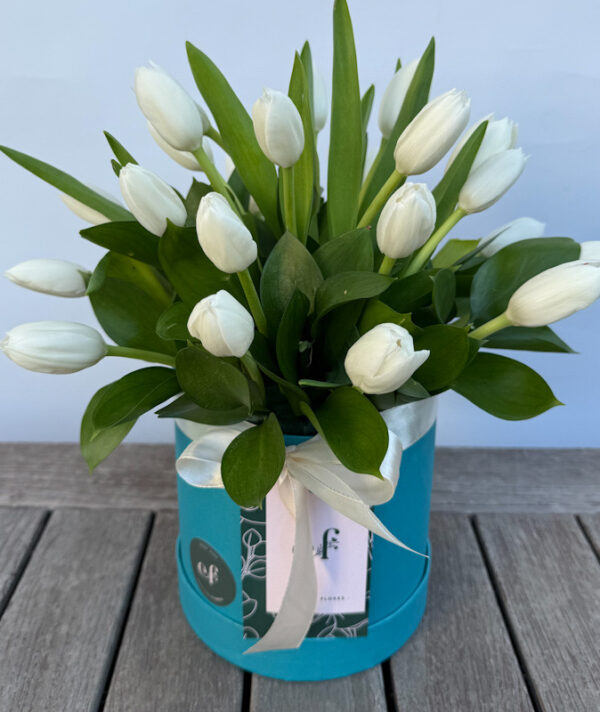 Arreglo de Tulipanes Blancos
