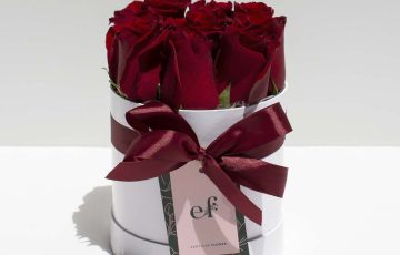 Box Rosas Rojas