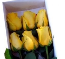 Caja con 6 rosas Amarillas