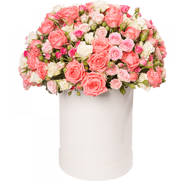 Composición de  minirosas