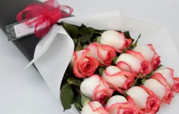 Cono de Rosas Importadas