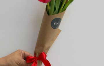 Envío de Tulipanes
