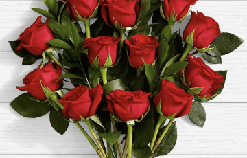 Docena de Rosas Rojas