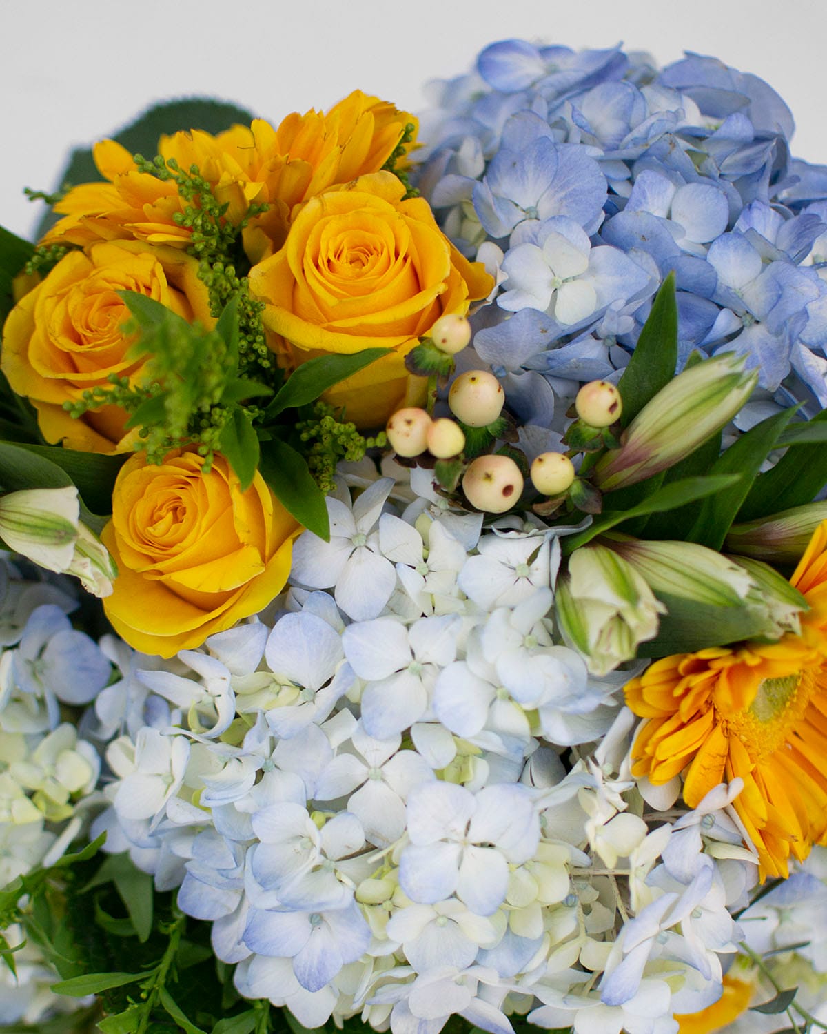 Arreglo de hortensias y gerberas