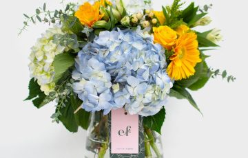 Arreglo de hortensias y gerberas