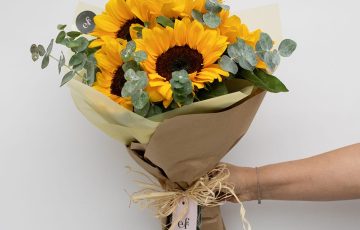 Girasoles alegres y vitales