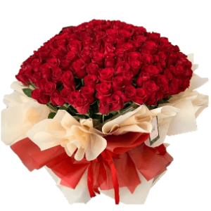 Impresiona con 200 rosas de amor