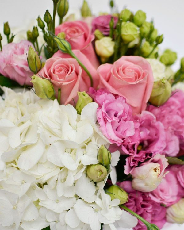 Macizo de flores elegantes