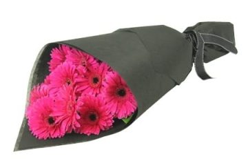 Moderno Bouquets de 9 Gerberas