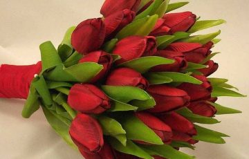 Ramo 30 varas de tulipanes rojo