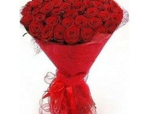 Ramo circular con 50 Rosas Rojas