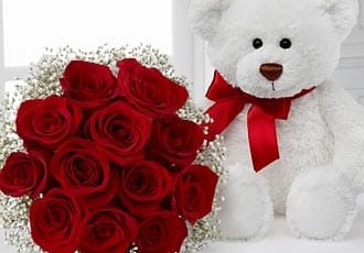 Ramo con 12 rosas, Gibsofila y Peluche