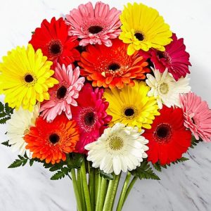Ramo de Gerberas