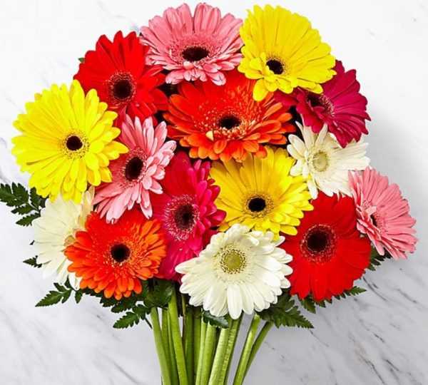 Ramo de Gerberas