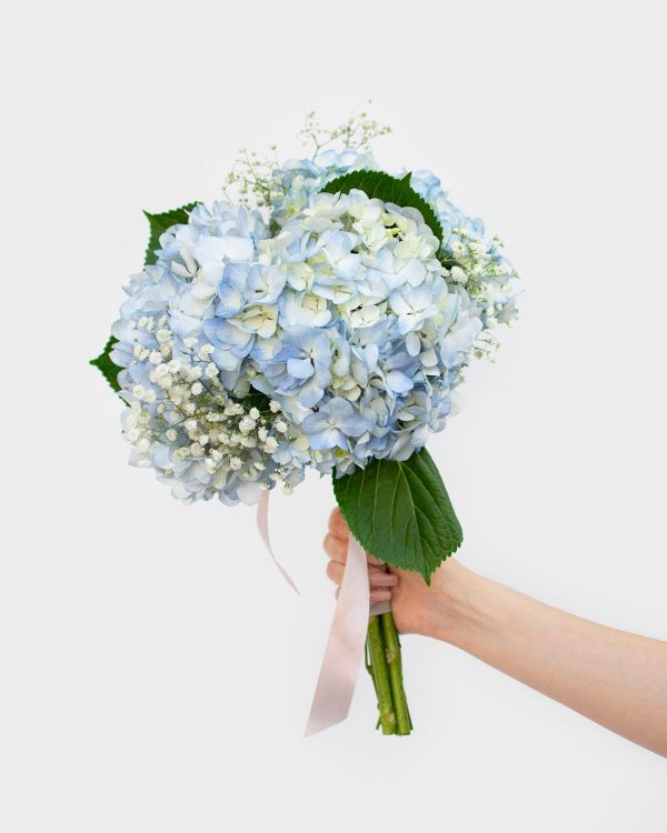 Ramo de novia Hydrangea