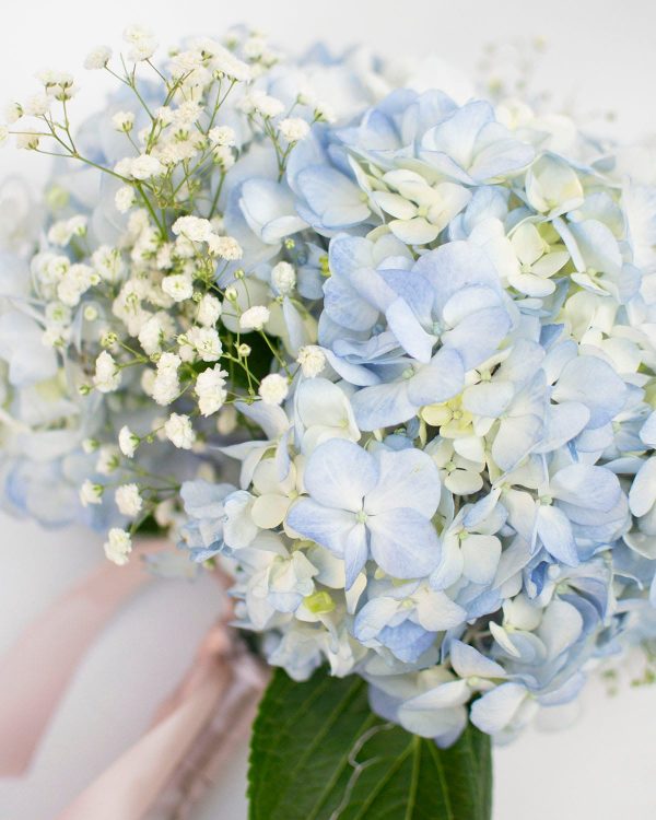 Ramo de novia Hydrangea