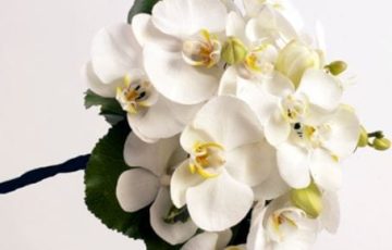 Ramo de orquideas