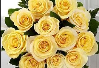 Ramo de Rosas Amarillas 30 varas