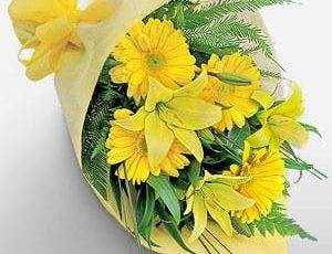 Ramo Extendido con Gerberas y Lilium