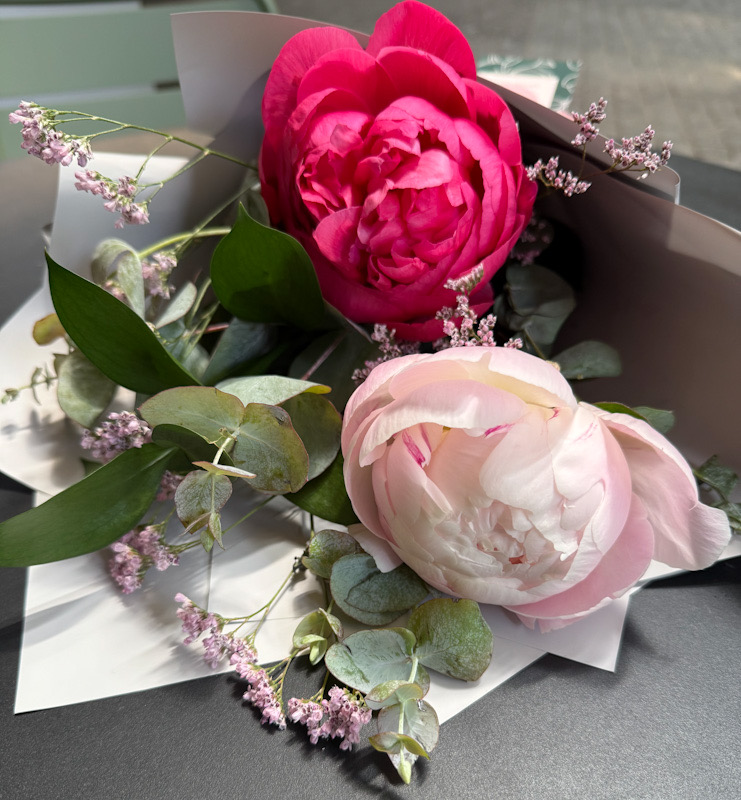 Ramo Peonías Bicolor – Exóticas Flores®