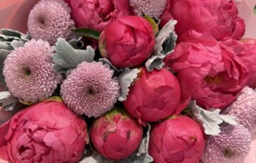 Enviar flores a Santiago y la V Región  | Enviarflores.cl