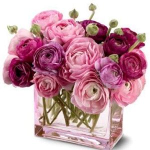 Ranunculus o Peonias en florero