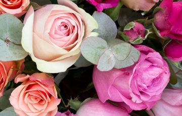 Regalar flores naturales ¿tienda o online?
