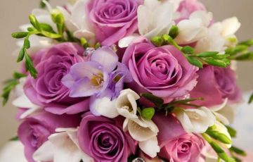 Rosas y Fresias