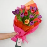 Tulipanes