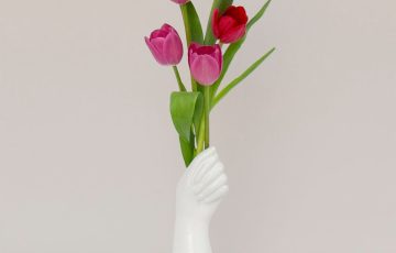 Tulipanes para regalar